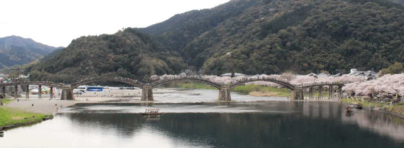 春の錦帯橋